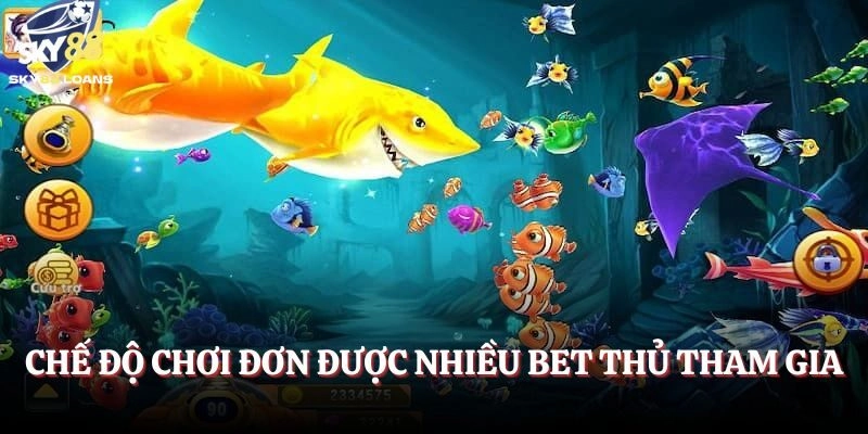Chế độ chơi đơn được nhiều bet thủ tham gia