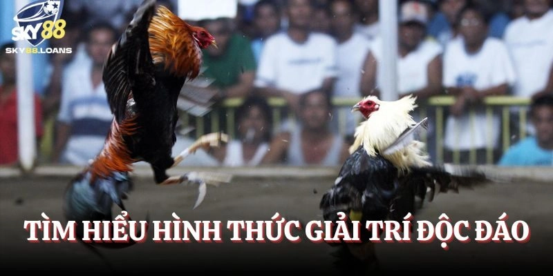 Tìm hiểu hình thức giải trí độc đáo