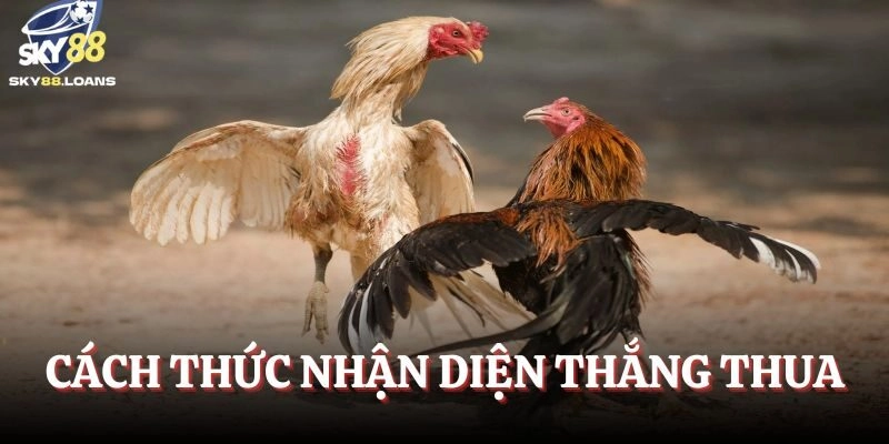 Cách thức nhận diện thắng thua