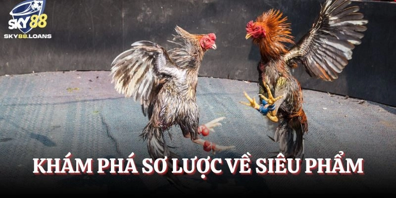 Khám phá sơ lược về siêu phẩm