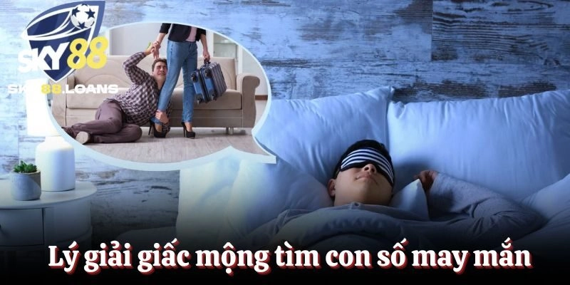 Lý giải giấc mộng tìm con số may mắn