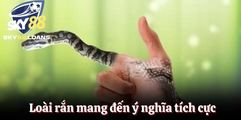 Loài rắn mang đến ý nghĩa tích cực